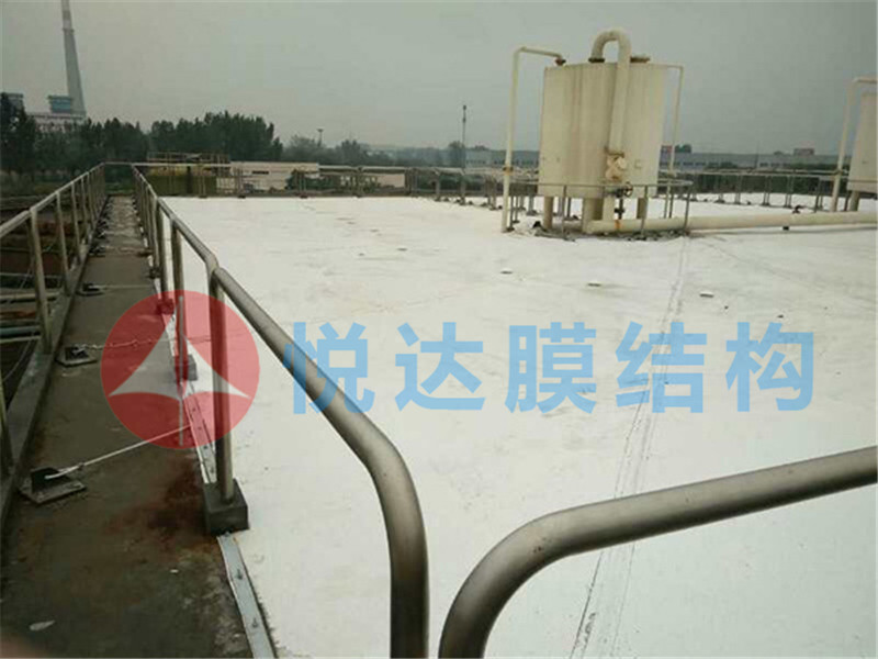 青州英科药业悬索反吊膜3800平方米